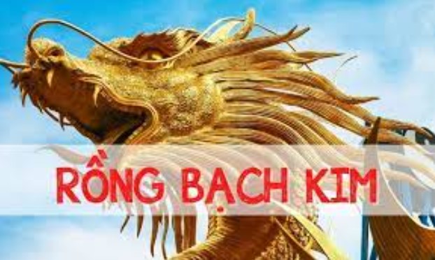 Những điều cơ bản giúp bạn hiểu hơn về rồng bạch kim 666